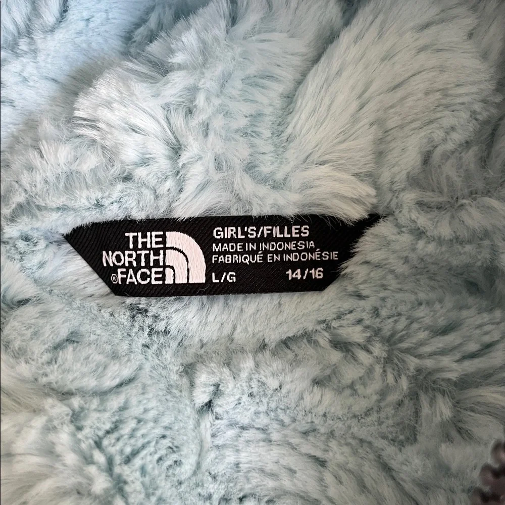 The North Face north face